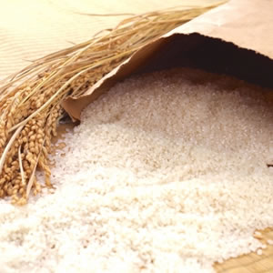 米収穫