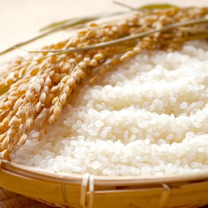 米と稲