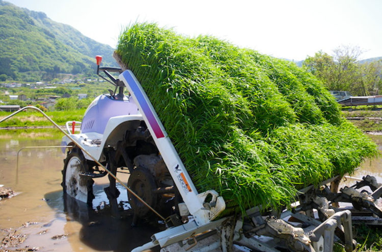 大阪　田植機