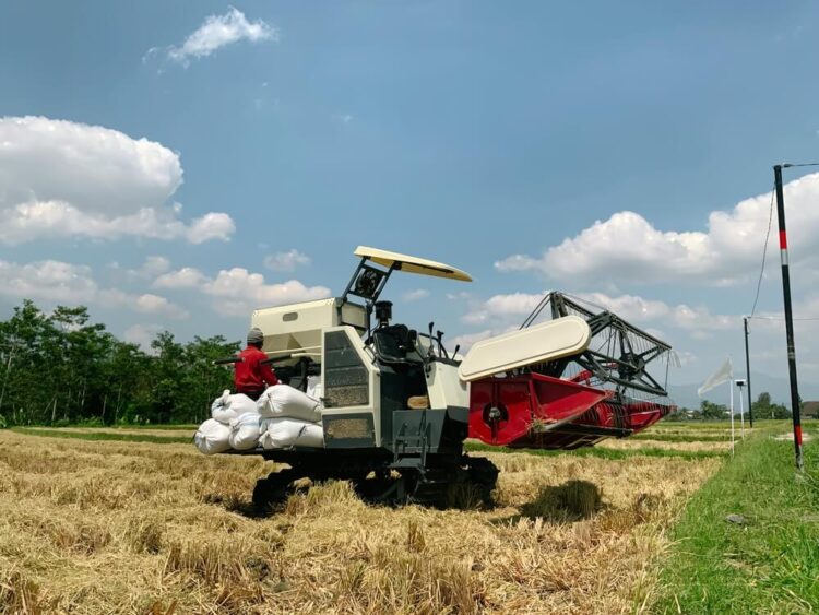 収穫袋を積んだ大型のコンバインと青空の田んぼ