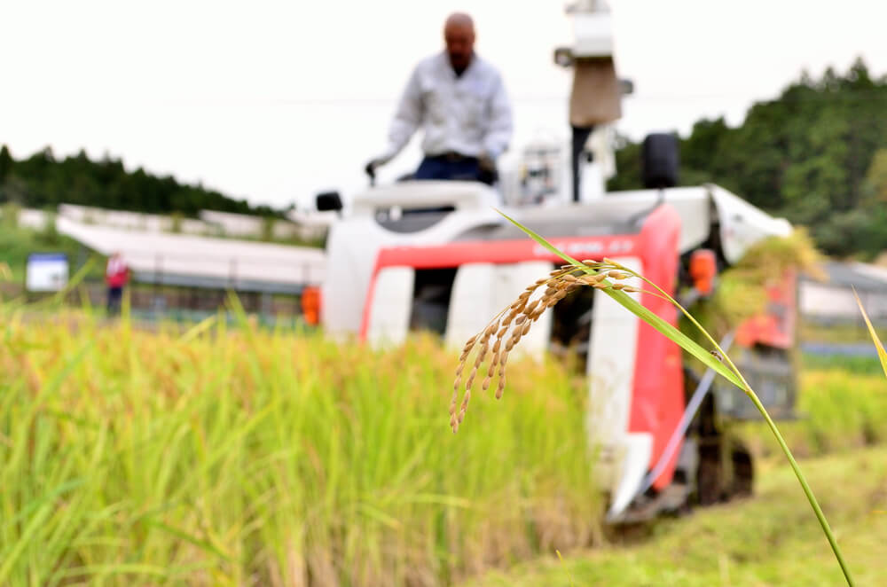 森林近くで稲刈りをする農業機械の正面