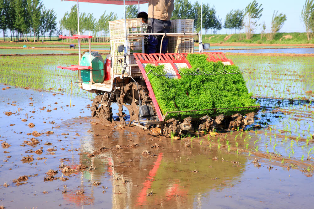 泥の水田で作業中の田植え機と青空
