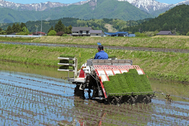 田植え機で水田を耕す農家と山の風景