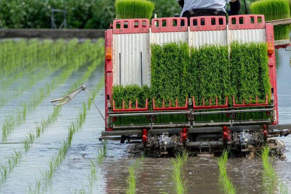 苗を植えながら前進する赤い田植え機の背面